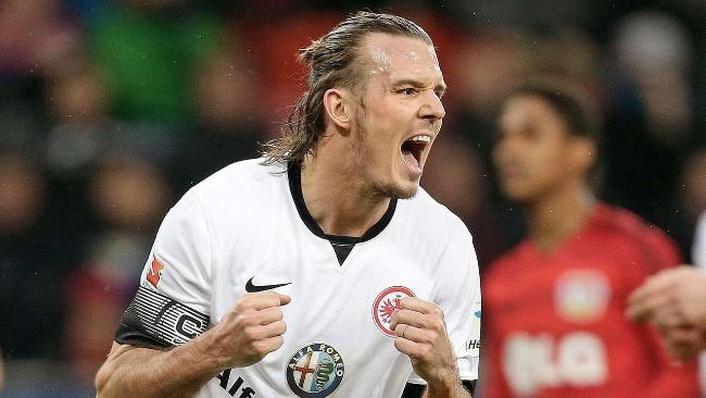 的表现提供 的表现提供