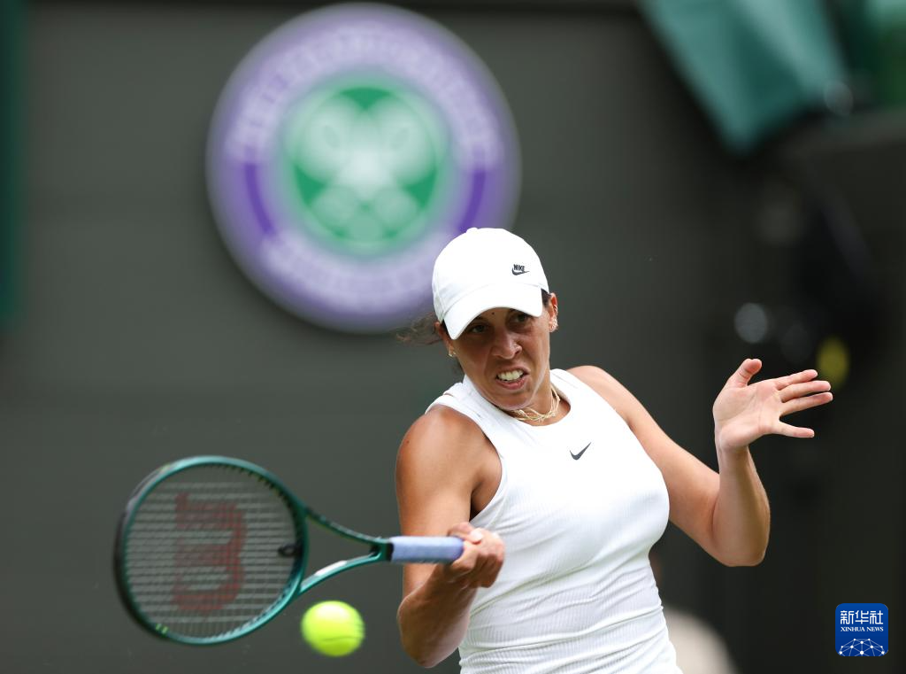 可观的回报 可观的回报