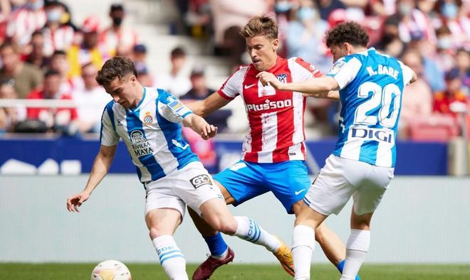 球员都充分 球员都充分