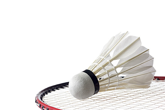 决不仅改写 决不仅改写